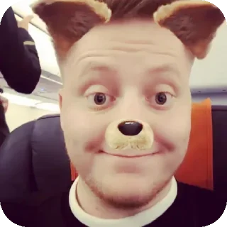 Telegram sticker 🐶 Лера снова с гпф(Юн)