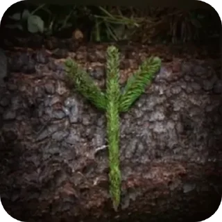 Telegram sticker 👍 Germany pilled