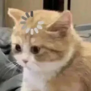 Video sticker 🤔 Больше стикеров тут: @stikery_emodzi_memy