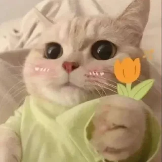 Telegram sticker 🤩 Больше стикеров тут: @stikery_emodzi_memy