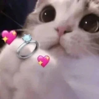 Telegram sticker 🤩 Больше стикеров тут: @stikery_emodzi_memy