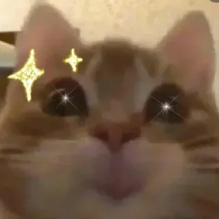 Sticker 🤔 Больше стикеров тут: @stikery_emodzi_memy