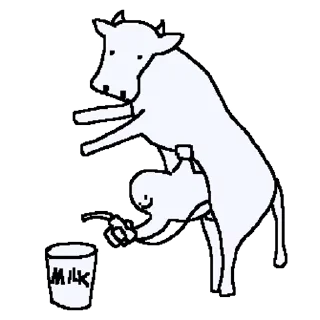 Video sticker 🐄 Crazy White @stickerstgrm