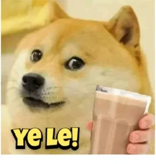 Telegram sticker 🤔 Toib ka pack hai sar