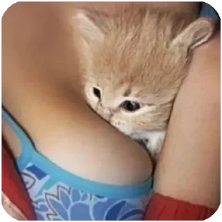Telegram stiker 🫥 Teteu