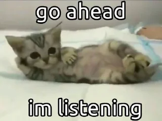 Telegram sticker 🌟 MeowMeow @AmourScripted :: @fStikBot