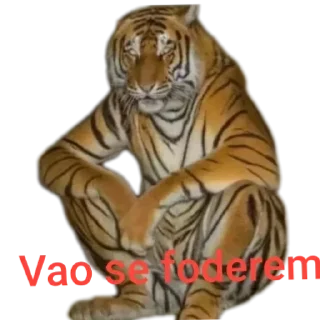 Video sticker 😡 Reações genuinas de iCarly_Luigi