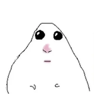 Video sticker 🥺 hamster