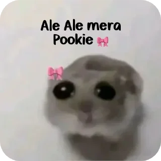 Video sticker 🧸 Sab pele jaye ge 🐸 • @sticbot