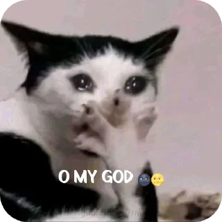 Telegram sticker 🥲 Sab pele jaye ge 🐸 • @sticbot