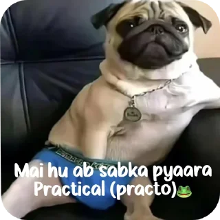Telegram sticker 🐶 Sab pele jaye ge 🐸 • @sticbot