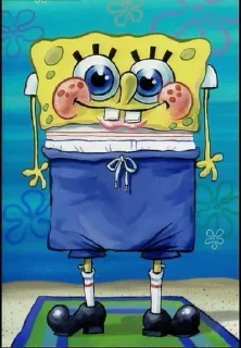 Video sticker 🌟 spongepics :: @fStikBot