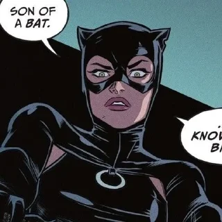 Telegram sticker 🐈‍⬛️ ‌    cat @fear4lde 's wōman