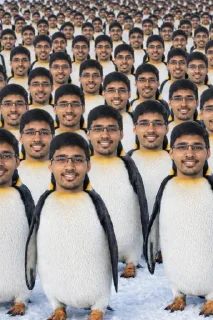 Sticker 🐧 Israeli Kabootar