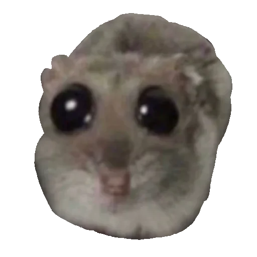 Telegram sticker 😜 Аай не воруй стикеры, пидорас