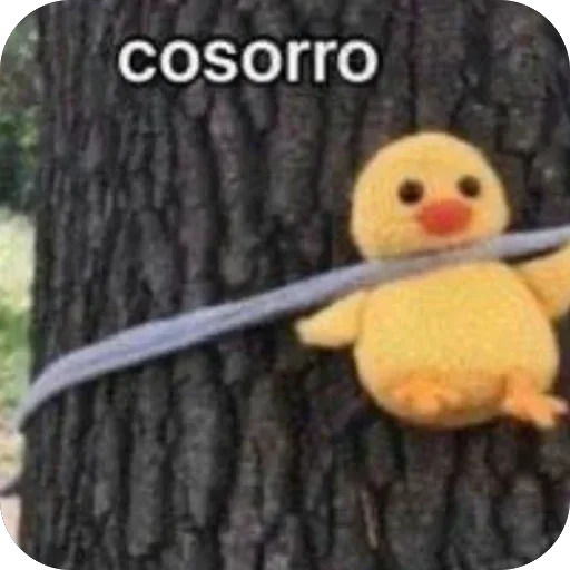 Telegram sticker 🫥 EU ROUBEI, TU ROUBASTES, NÓS ROUBAMOS