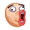 Video sticker 😆 Collie Connection WA 6225