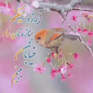 Telegram sticker 🌶 @ifelfelbot الهی به امید تو