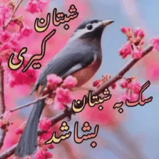 Telegram sticker 🌶 @ifelfelbot الهی به امید تو
