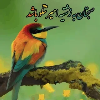 Telegram sticker 🌶 @ifelfelbot الهی به امید تو