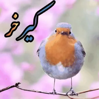 Telegram sticker 🌶 @ifelfelbot الهی به امید تو