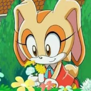 Telegram sticker 🩹 ♡.♡[sonic] Cute girls ♡.♡