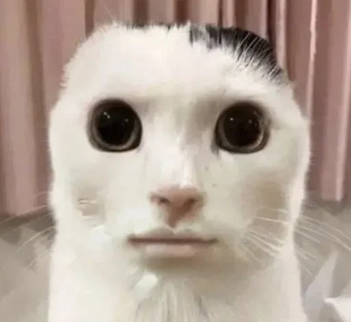 Telegram sticker 💔 Sota