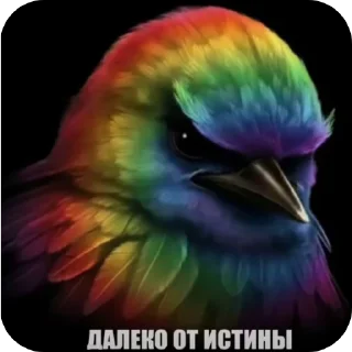 Telegram sticker 🐦 Thoughtful птичка @SHILD5