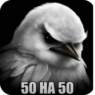 Video sticker 🐦 Thoughtful птичка @SHILD5