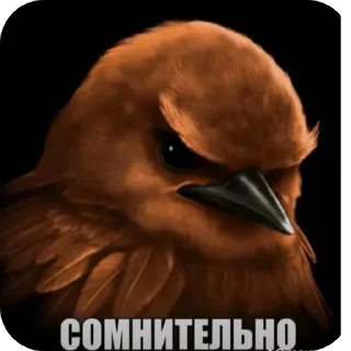 Telegram sticker 🐦 Thoughtful птичка @SHILD5