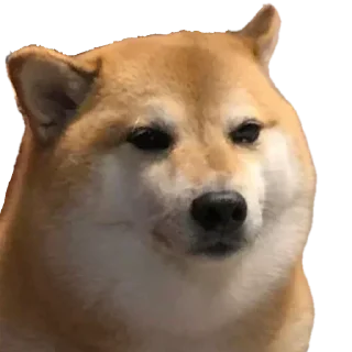 Telegram sticker 😎 Collection Of @the_abhi69