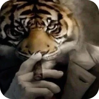 Sticker ✋ حگ غورين @YO1_69