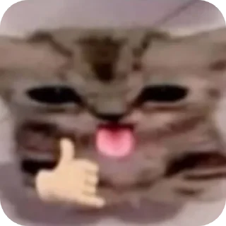 Video sticker 😀 ملك ملوك 👈🏻👉🏻