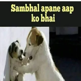 Video sticker 😁 @LLawliet75 Vol.1