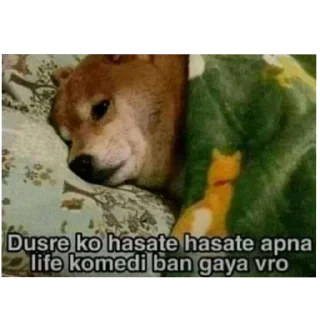 Telegram sticker 🐶 Stickers made by Ali