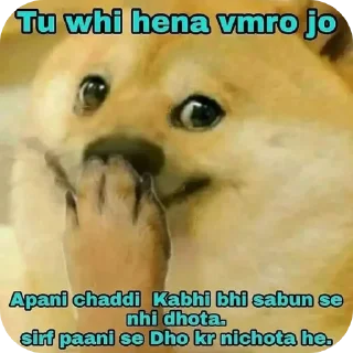 Video sticker 🖼 Stickers made by Ali