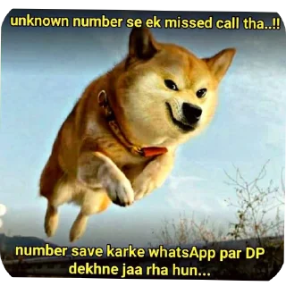 Video sticker 🐶 Stickers made by Ali