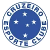 Sticker 🇧🇷 CG Sudeste @golscruzou