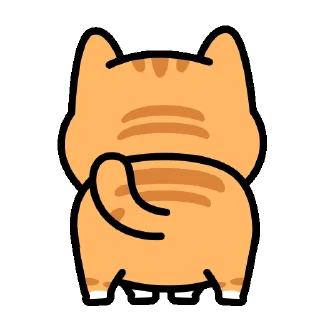 Video sticker 🍊 ⋆. c✧ts | tg: @wexsavi 🍣 ୧