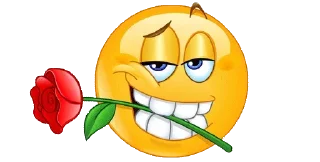 Telegram sticker 😏 инку лох