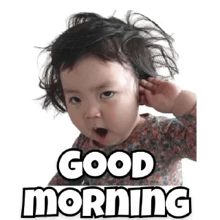 Video sticker 👋 @chatenglishhh :: @fStikBot