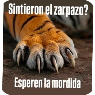 Video sticker 🖼 Memes aguaray