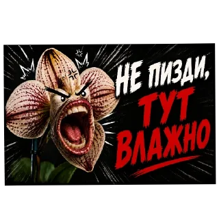 Telegram sticker 🐞 Zloy Phalenopsis