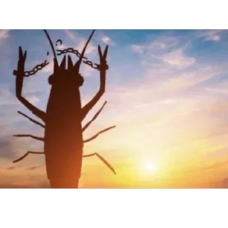 Video sticker 🦐 shrimpcore