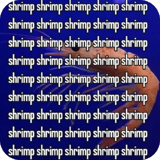 Telegram sticker 🦐 shrimpcore