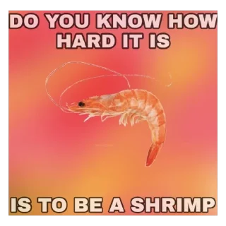 Video sticker 🦐 shrimpcore
