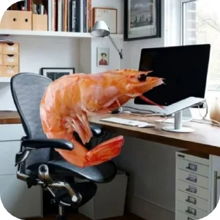 Telegram sticker 🖥 shrimpcore
