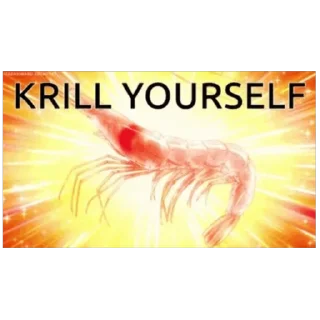 Telegram sticker 🦐 shrimpcore