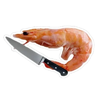Sticker 🔪 shrimpcore