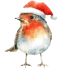 Sticker 🐦‍⬛ christmas ➜ @emoji1